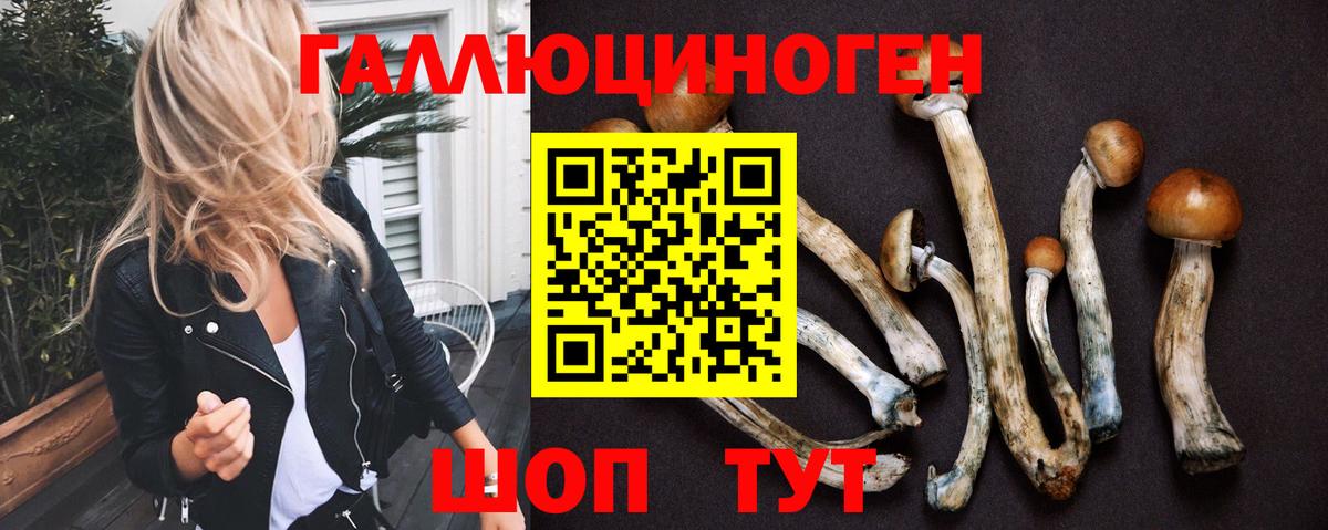 Галлюциногенные грибы мицелий  Псилоцибиновые грибы мухоморы  купить   Петрозаводск  Вход с VPN 